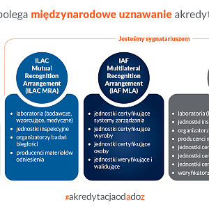 HGWXOjryPlMxJkCQ-miedzynarodowe-uznawanie-6.jpg