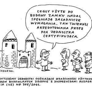 pca_rys9.jpg