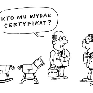 pca_rys7.jpg