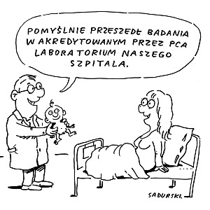 pca_rys5.jpg