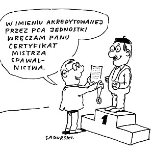 pca_rys4.jpg