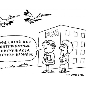 pca_rys3a.jpg