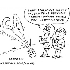 pca_rys4a.jpg